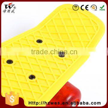70kgs Top ABS Deck Material OEM Fish Shape Skateboard photo-6