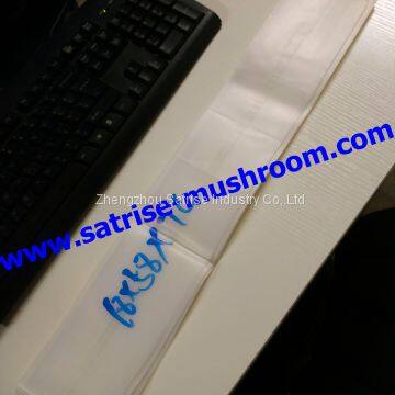 Mushroom Spawn Bag Grow Mushrooms From Spores Shiitake Growing Spawn