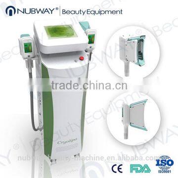 china high-tech cryotherapy fat cells removal 2 handles laser freeze fat cryolipolysis equipment