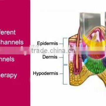 Body Slimming Non Invasive Body Slimming Weight Loss Machine 4 Handpiece Cryolipolysis Fat Freezing Machine photo-6