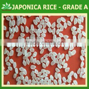 HOT SALES !!! CHEAPEST JAPONICA/ROUND WHITE RICE 5% BROKEN