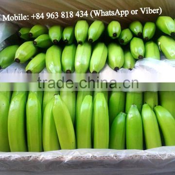 VIETNAM Fresh banana +84963818434 whatsapp