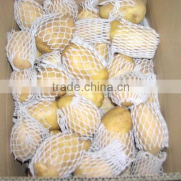 Fresh Chinese Holland Potato 80-150g from Potato Factory