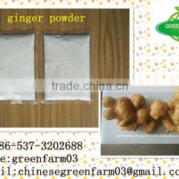 chinese specis dried ginger powder with high quality