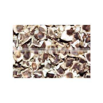 Moringa Seeds