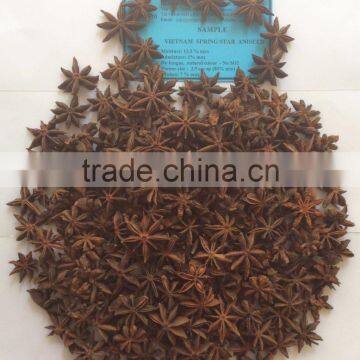 VIETNAM BEST QUALITY SRING STAR ANISE