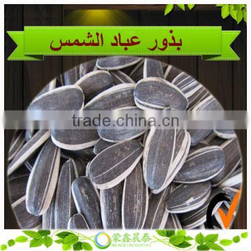 Bulk Organic Sunflower Seeds