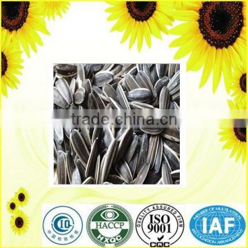 factory direct sale edible sunflower seed 5009 ton price