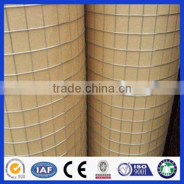 welded wire mesh roll / welded wire mesh / weled wire mesh panel