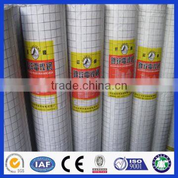 Welded Wire Mesh Roll / Welded Wire Mesh / Weled Wire Mesh Panel photo-2