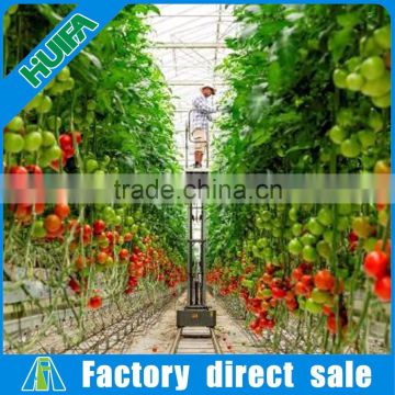 Hydroponic system with coco peat for multi span commerical greenhouses