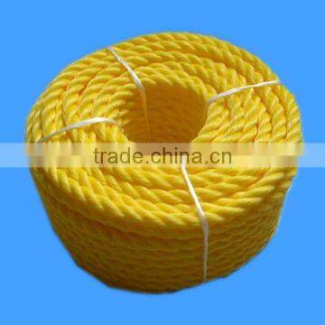 plastic/nylon/pp/pe rope in good quality