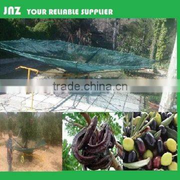 fruit collection net