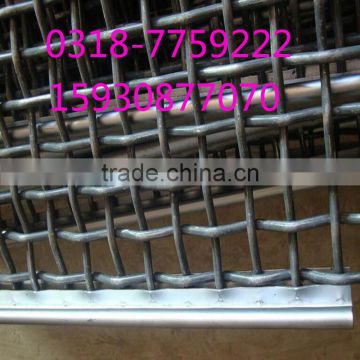 China crimped wire mesh factory