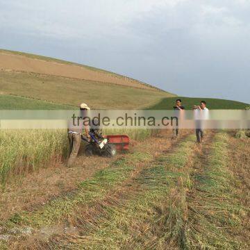 Agricultural 4GL120 Rice Reaper Head photo-2