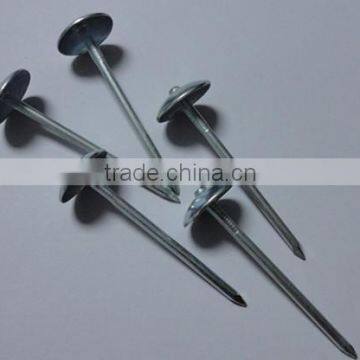 Large head roofing nail china nail factory price from China