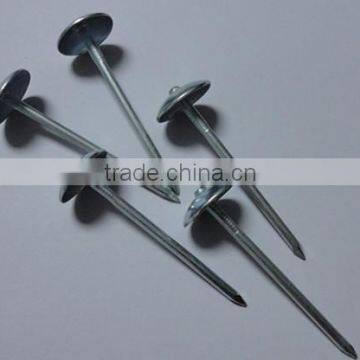 2.5 Inch Umbrella Head Roofing Nail Twisted Shank Roofing Nail Factory Price photo-3
