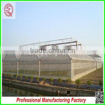 China Supplier Multi-span Agricultural Plastic Film Greenhouse for Sale photo-3