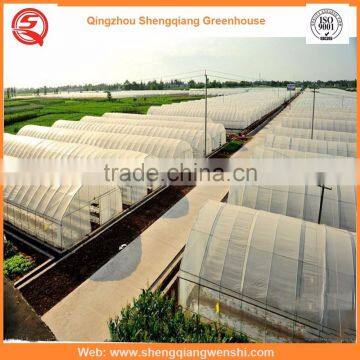 Agriculture Equipment Multi-span 8.0m PE Film Agriculture Greenhouse Plastic for Sale photo-2