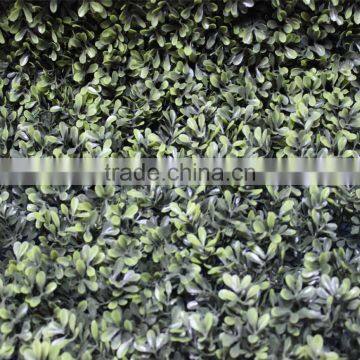 Fake Grass Artificial Boxwood , Artificial Boxwood Plastic Grass, Artificial Boxwood Milan Grass photo-4