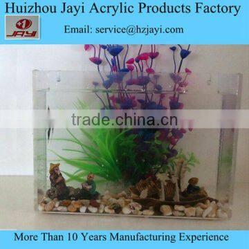 Hot Selling Aquarium Tank Fish photo-2