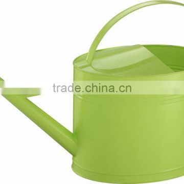 Decorative Watering Can