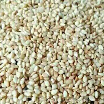 2017 New Crop Whitish Sesame Seeds photo-2