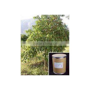 BOSWELLIA DRY EXTRACT photo-4