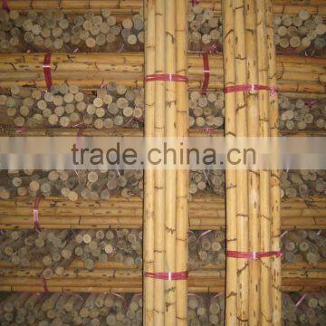 Manau Cane, Manau, Manao, Rattan Pole, Pole, Rattan, Cane, Rattan Cane, Cricket Cane, Singapore Cane, Manao Cane, Manao Pole photo-4