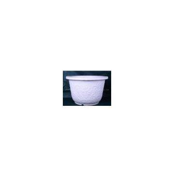FLOWER POT