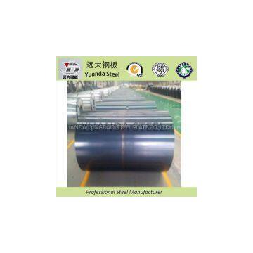 Prepainted Galvanized Steel Coil - Dx51d