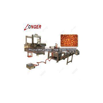 Continuous Peanut Fryer Machine|Pellet Chips Frying Machine photo-2