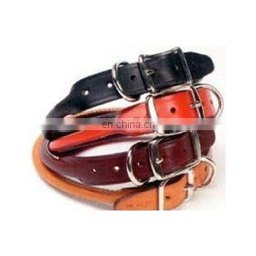 colorful leather dog collars