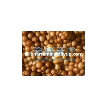 China artemia cysts/china Wholesale/brine Shrimps