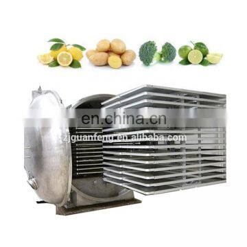 Quick Vacuum Freeze Dryer Refrigeration and Heat Equipment