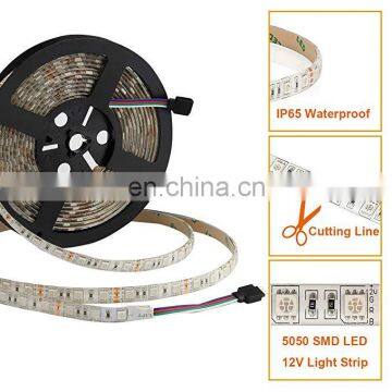DC 12V 5050 SMD IP 65 Waterproof Outdoor Rgb Flexible Led Light Strip Kit With 24 Keys Remote