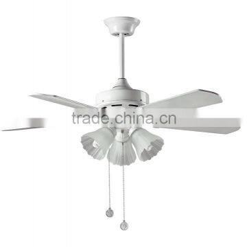 Ceiling Fan Light Fan Ceiling Lighting Ceiling Fans and Lighting