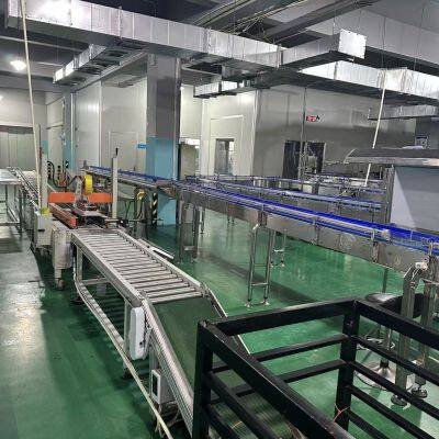 Aloe Vera Drink Bebida de Aloe With Normal/big Mouth Bottle, Glass Bottle and Factory Owned Aloe Plant Base photo-3