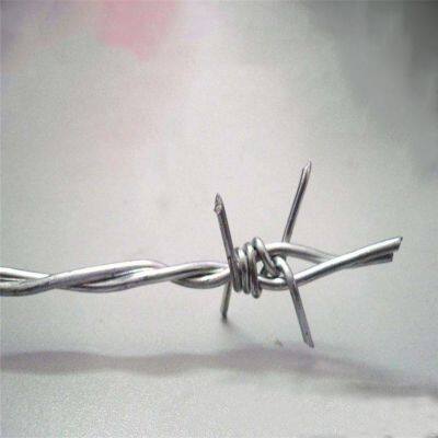 Прямое поставление с завода обратно-винтовой заостренной сетки для промышленного использования