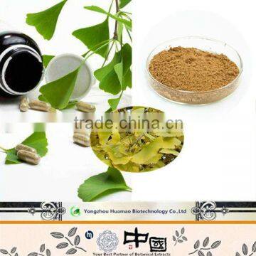 HOT SALE free sample pure organic high quality Ginkgo biloba extract Ginkgo flavone