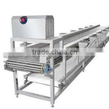 Double-layer selection conveyor