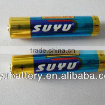 AA/LR6 alkaline battery/dry battery