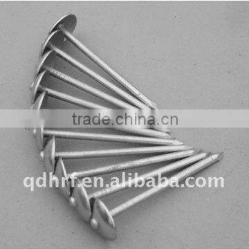 Galvanized Umbrella Head construction roofing wire nails