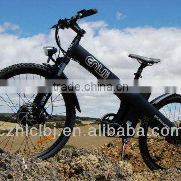 Seagull CVT-250w hot sell electric bikes Design based on human,mountain electric bike