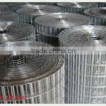 Professional production 1/4 inch galvanized welded wire mesh (Guangzhou)