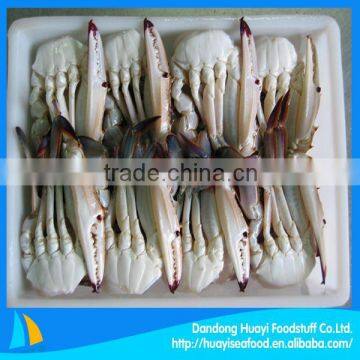 frozen blue swimming crab