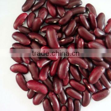 Dark red beans 2013crops