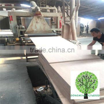 Wholesale Plywood Supplier Keruing Veneer Shipping Container Plywood photo-6