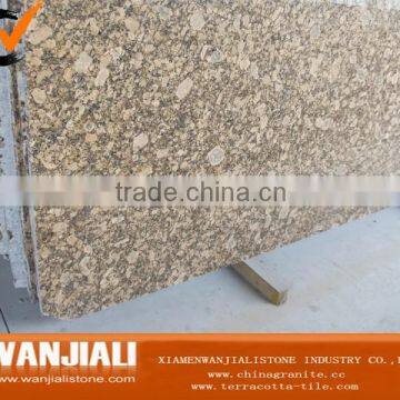 Giallo Fiorito Granite Slab