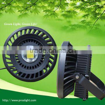 CE&RoHS 85-265V 100W explosion proof light for dock